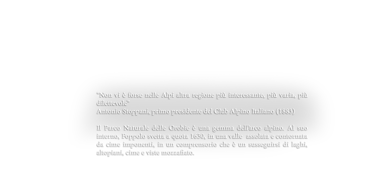 negozi